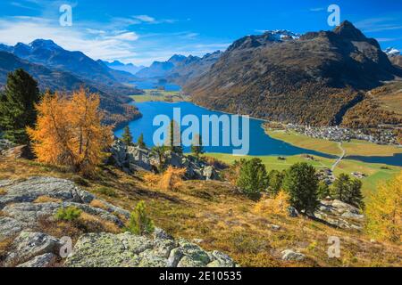 Lac Silvaplana et lac Sils, haute Engadine, Grisons, Suisse, Europe Banque D'Images