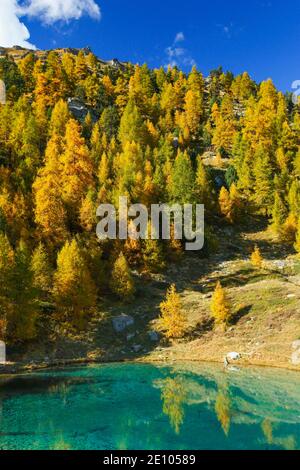 Lac Bleu, Valais, Suisse, Europe Banque D'Images