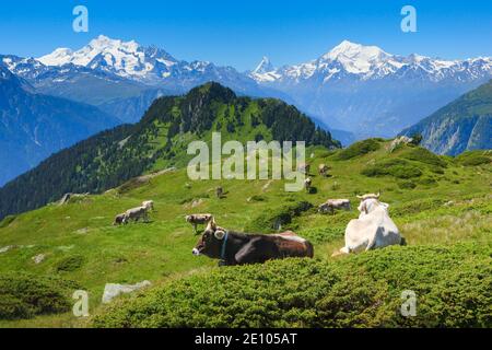 Alpes suisses, Groupe Mischabel, Matterhorn, Weisshorn, Valais, Suisse, Europe Banque D'Images