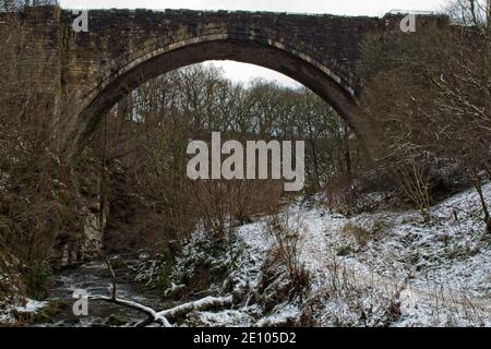 Construit en 1725-1726, l'arche de Causey, près de Stanley, dans le comté de Durham, en Angleterre, est le plus ancien pont de chemin de fer à arc unique au monde. Banque D'Images