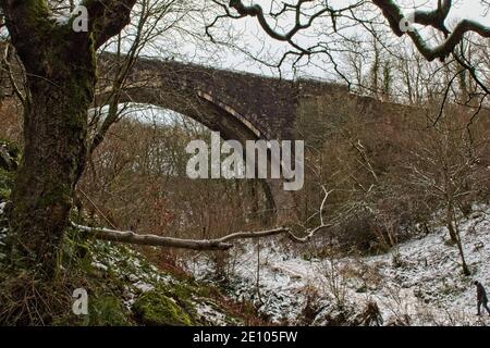 Construit en 1725-1726, l'arche de Causey, près de Stanley, dans le comté de Durham, en Angleterre, est le plus ancien pont de chemin de fer à arc unique au monde. Banque D'Images