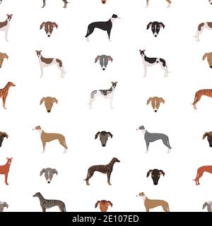 Chiens Greyhound anglais dans différentes poses. Motif sans couture grisant. Illustration vectorielle Illustration de Vecteur