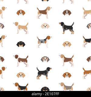 Motif Beagle sans coutures. Différentes poses, Beagle chiot. Illustration vectorielle Illustration de Vecteur