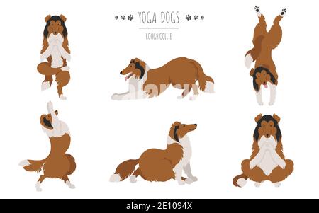 Yoga chiens pose et exercices. Clipart collie rugueux. Illustration vectorielle Illustration de Vecteur