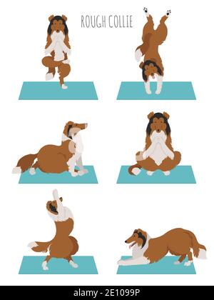 Yoga chiens pose et exercices. Clipart collie rugueux. Illustration vectorielle Illustration de Vecteur