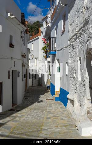 Promenez-vous dans les rues blanches de la municipalité de Salares, dans la province de Malaga, en Andalousie Banque D'Images