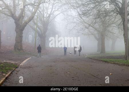 Un parc couvert de brouillard épais avec les gens dehors marcher. Banque D'Images