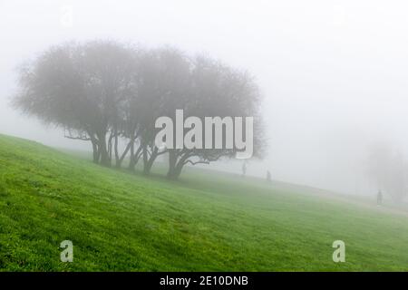 Un parc couvert de brouillard épais avec les gens dehors marcher. Banque D'Images