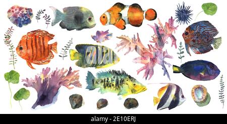 Dessins animés de poissons avec fleurs dessinées à la main dans l'aquarelle pour la décoration. Décor coloré. Monde sous-marin. Banque D'Images