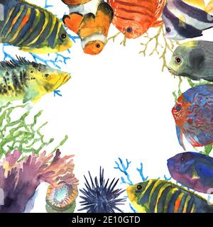 Cadre de poissons tropicaux exotiques colorés dessiné à la main dans l'aquarelle pour la décoration. Monde sous-marin. Icône de site Web. Banque D'Images