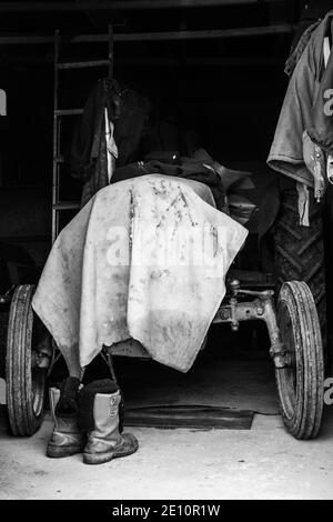 Massey Ferguson (Little Grey Fergie) rangés dans un hangar avec les bottes des conducteurs prêtes à l'emploi Banque D'Images