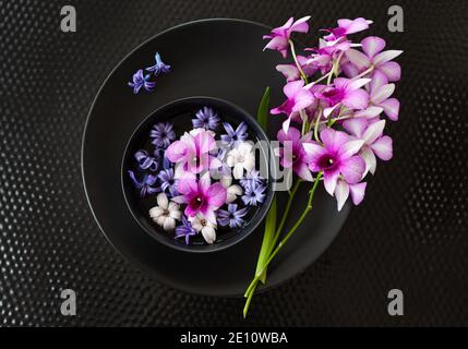 Orchidées et jacinthes violettes Banque D'Images