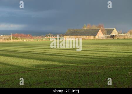 Une tempête de grêle surfe St Andrews, Fife, 3 janvier 2020 Banque D'Images