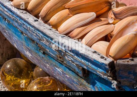 Des flotteurs en verre et une caisse en bois de coquillages à l'extérieur d'une boutique sur Key Largo dans les Florida Keys. Banque D'Images