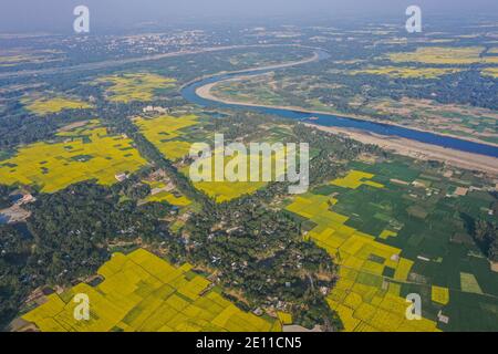 Dhaka, Dhaka, Bangladesh. 3 janvier 2021. (Note de la rédaction : image prise avec un drone.).cette photographie aérienne montre les champs de moutarde à Manikganj, dans la banlieue de Dhaka, au Bangladesh, le 03 janvier 2021. L'hiver au Bangladesh est la saison de production de miel la plus favorable lorsque les champs de moutarde de la plupart des régions du pays sont en pleine floraison. Crédit: Zabed Hasnain Chowdhury/ZUMA Wire/Alay Live News Banque D'Images