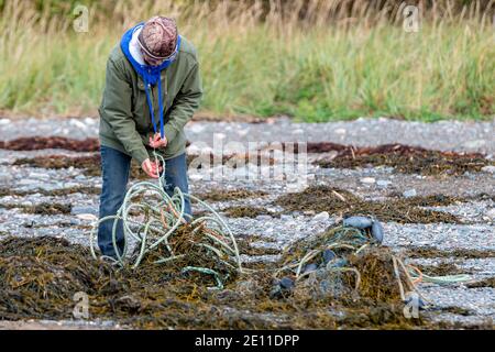 Saint John, N.-B., Canada - le 3 octobre 2020 : une personne tire la corde et d'autres engins de pêche commerciale perdus d'une pile d'algues sur une plage. Banque D'Images