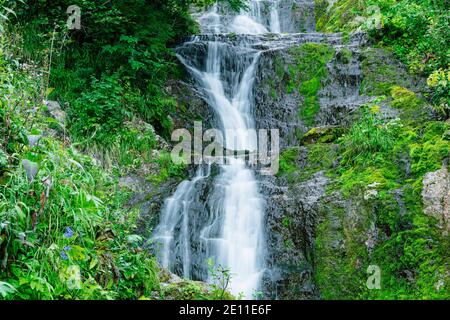 Vue sur la cascade dans la forêt tropicale. Ruisseau rapide parmi les roches et la mousse verte. Banque D'Images