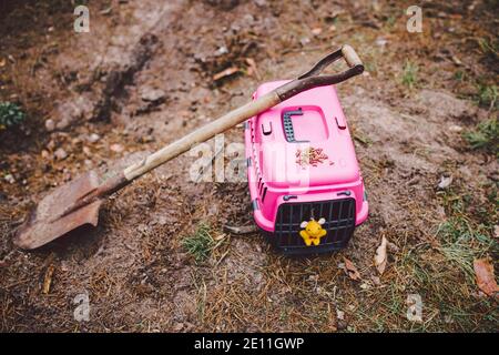 Tombe de l'animal de compagnie aimé de la famille, un sable de monticule. Parcelle de dépression rêveuse, petit animal chiot est enterré dans la forêt, animal de compagnie carier et jouet sur fraîchement creusé gra Banque D'Images