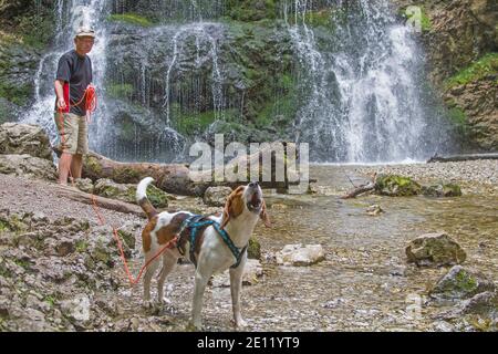 Beagle marche avec son maître au Josefstaler Cascade en haute-Bavière Banque D'Images