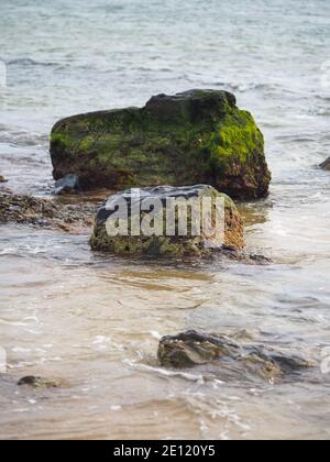 Un tapis de mousse verte et d'algues sur ces grands rochers de plage, les vagues de mer se jetant sur le sable, Mid North Coast, Australie Banque D'Images