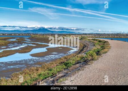 Sentier de terre au milieu des terres humides et des dunes côtières dans la pittoresque Bolsa Réserve naturelle de Chica Banque D'Images