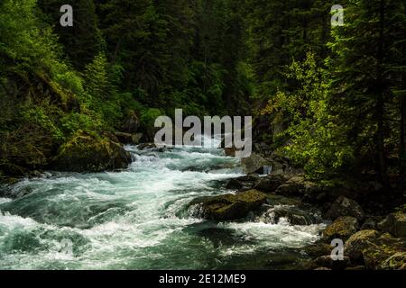 Rivière Lostine sauvage et pittoresque de l'Oregon, au-dessus du pont du pôle Aire de pique-nique à 7.5 km au sud de Lostine sur la Lostine River Road/FS Road 8210 Banque D'Images