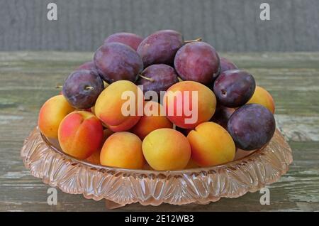 Fruits de la culture régionale dans UN bol de fruits, abricots et prunes Banque D'Images