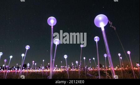 Installation de Field of Light art par l'artiste Bruce Munro à Uluru en Australie centrale . Banque D'Images