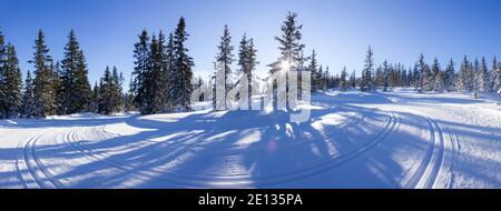 Belle piste de ski de fond sur la montagne Rossbrand au coucher du soleil (Filzmoos, comté de Salzbourg, Autriche) Banque D'Images