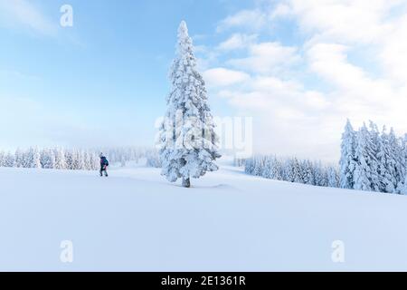 Garçon debout devant un beau pin recouvert de neige blanche. Paysage d'hiver. Paysage de montagne Banque D'Images