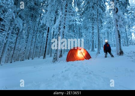 Tente de camp sauvage éclairée au crépuscule dans la forêt, arbres couverts de neige Banque D'Images