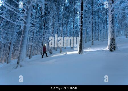 femme avec phare debout sur une montagne enneigée dans un forêt enneigée de pins Banque D'Images
