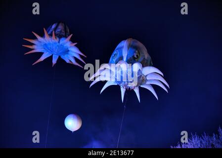 Méduses géantes et inflatables flottant dans le ciel nocturne au-dessus d'Aix-en-Provence pendant Le Carnaval de printemps d'Aix-en-Provence Provence France Banque D'Images