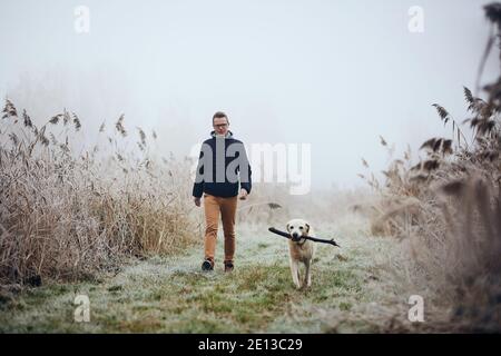 Jeune homme marchant avec son chien dans la nature. Le propriétaire d'animaux de compagnie avec labrador Retriever sur la prairie au milieu des roseaux pendant la journée glacial. Banque D'Images