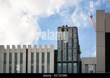Grimpeurs industriels au travail sur le mur du verre et l'acier d'un bâtiment moderne Banque D'Images