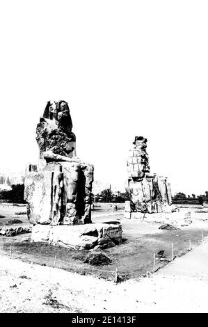 C'est le site archéologique 1350BC au Colossi de Memnon de l'Égypte ancienne, non loin du Nil et de la ville de Louxor connu auparavant sous le nom de Thèbes. Les statues sont du Pharaon Amenhotep III, il y a deux petites statues à ses pieds, l'une étant sa mère, l'autre son épouse. Initialement construit pour protéger l'entrée du temple d'Amenotep contre le mal, ils ont également été vus pour protéger la rive ouest du Nil. Les Colossi ont subi des dommages importants après le tremblement de terre, mais après 3500 ans, ils restent debout. Banque D'Images