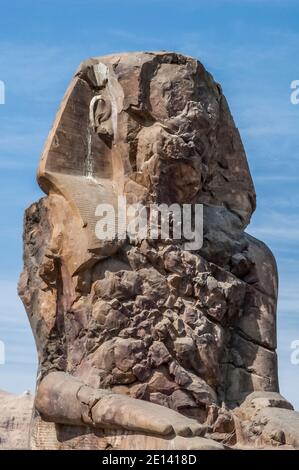 C'est le site archéologique 1350BC au Colossi de Memnon de l'Égypte ancienne, non loin du Nil et de la ville de Louxor connu auparavant sous le nom de Thèbes. Les statues sont du Pharaon Amenhotep III, il y a deux petites statues à ses pieds, l'une étant sa mère, l'autre son épouse. Initialement construit pour protéger l'entrée du temple d'Amenotep contre le mal, ils ont également été vus pour protéger la rive ouest du Nil. Les Colossi ont subi des dommages importants après le tremblement de terre, mais après 3500 ans, ils restent debout. Banque D'Images
