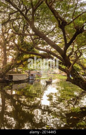 Petit bateau en bois flottant à travers les magnifiques eaux au coucher du soleil à Alleppey, Kerala, Inde Banque D'Images