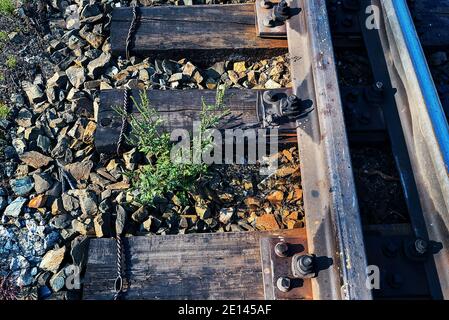 Rail simple comme partie d'un chemin de fer. Des traverses en bois et du gravier sont également visibles. Arrière-plan ferroviaire. Banque D'Images