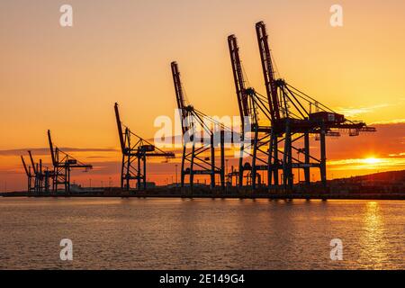 Port maritime avec grues à conteneurs à un beau coucher de soleil Banque D'Images