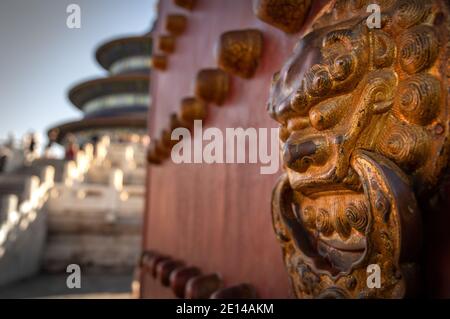Magnifique bouton de porte de lion d'or devant le temple du ciel à Pékin. Banque D'Images