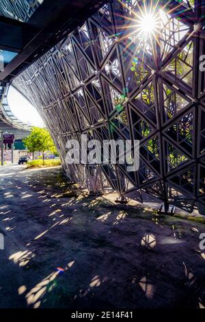 Faune et feuillage dans les jardins près de la baie de Singapour Banque D'Images
