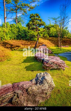 Faune et feuillage dans les jardins près de la baie de Singapour Banque D'Images