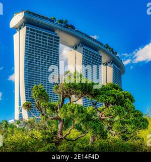 Faune et feuillage dans les jardins près de la baie de Singapour Banque D'Images