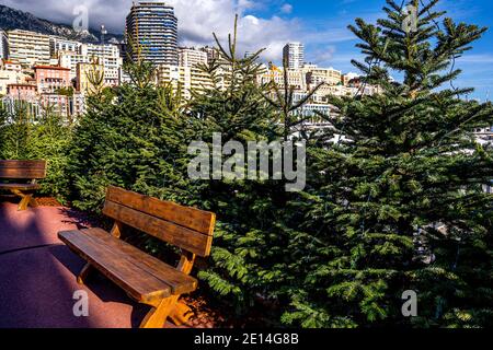 Monte Carlo, Monaco - 14 décembre, 2020 personnes patinoires sur le marché de Noël. Marché traditionnel chaque hiver dans le port dans le centre-ville. Photo de haute qualité Banque D'Images