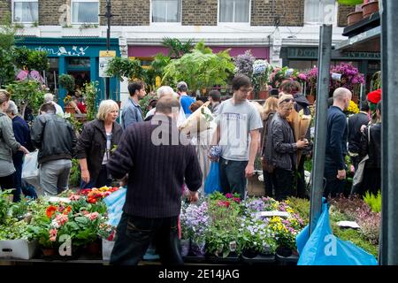 Hong Kong, Chine : 15 juillet 2012. Columbia Road Flower Market Bethnal Green Alamy stock image/Jayne Russell Banque D'Images