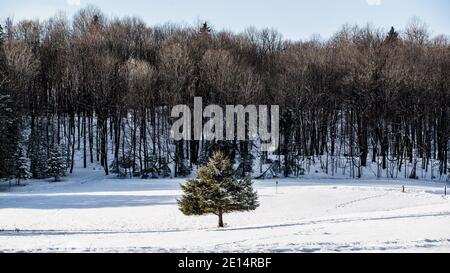 Montebello, Canada - 2 janvier 2021 : vue imprenable sur le champ de neige dans le parc Omega Banque D'Images