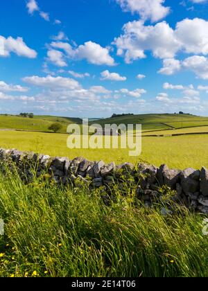 Mur de pierre de Drystone et paysage roulant typique près de Parwich dans la région de White Peak du parc national de Peak District Derbyshire Dales Angleterre. Banque D'Images