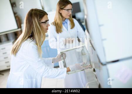 Jeunes femmes scientifiques dans un flacon de mise en blouse de laboratoire blanc avec un échantillon pour une analyse sur un système d'ionchromatographie en laboratoire biomédical Banque D'Images