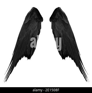 deux grandes ailes de corbeau noir avec de grandes plumes isolées sur fond blanc, se rapprochez Banque D'Images